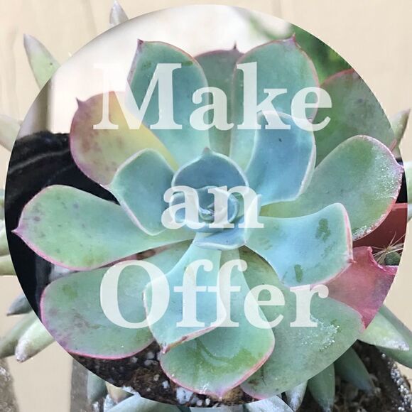 7 KENNETH COLE NEW YORK snakeskin embossed mules - Picture 8 of 9